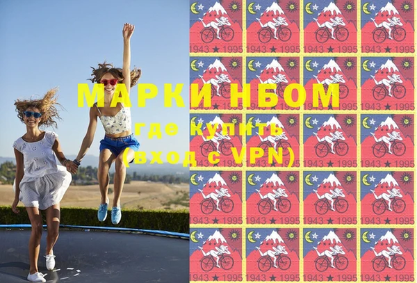 прущие грибы Алзамай