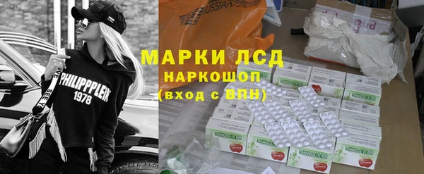 прущие грибы Алзамай